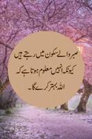 Sabar karnay walay sukoon may rehtay hain